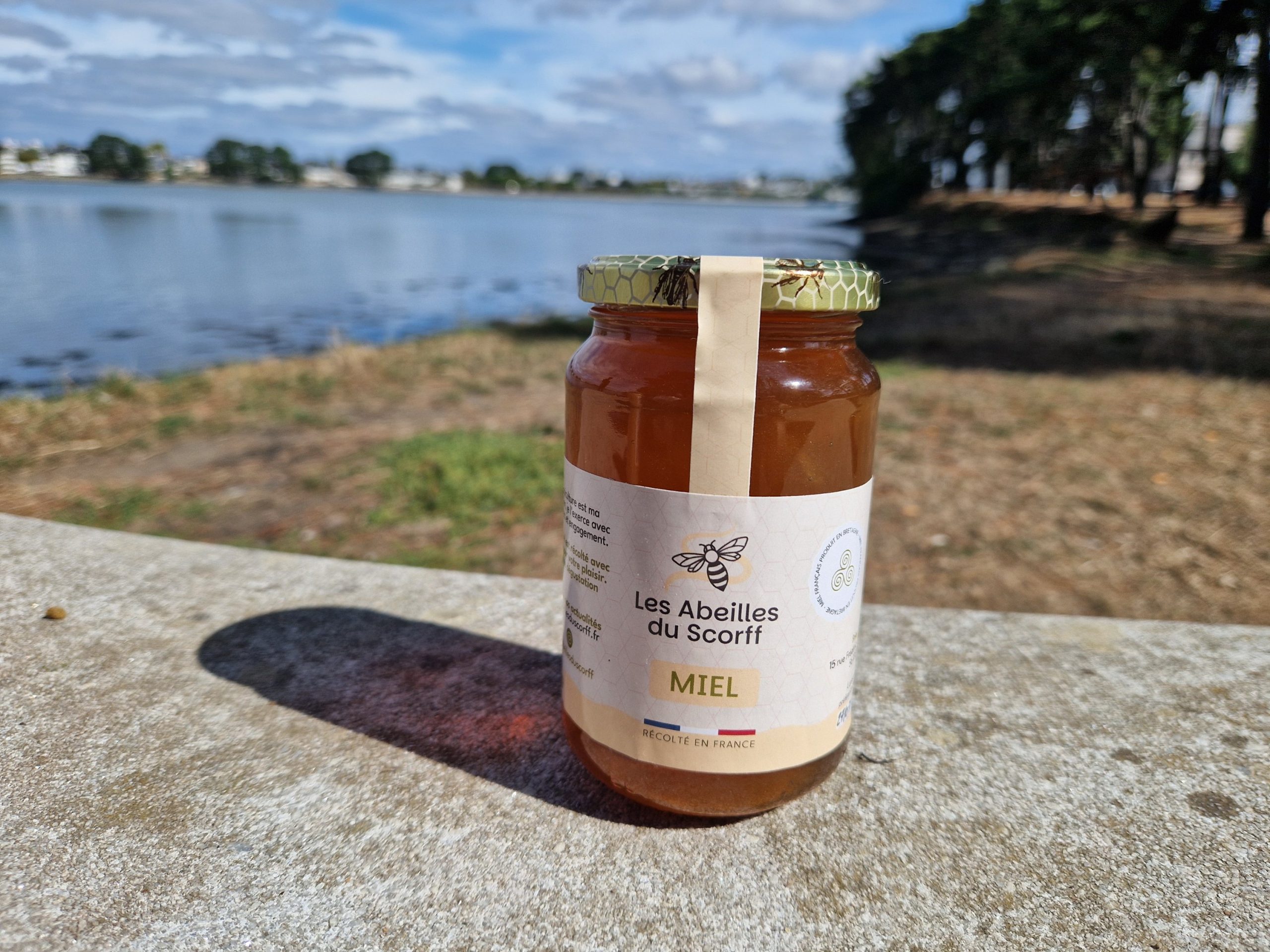 Miel d'été - 500 gr – Image 2