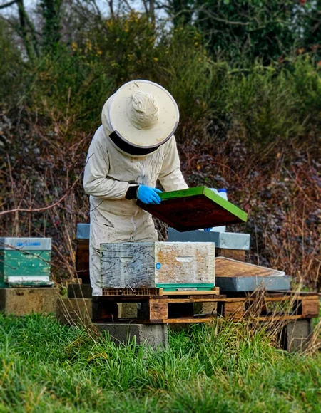 photo-de-profil-briac-les-abeilles-du-scorff